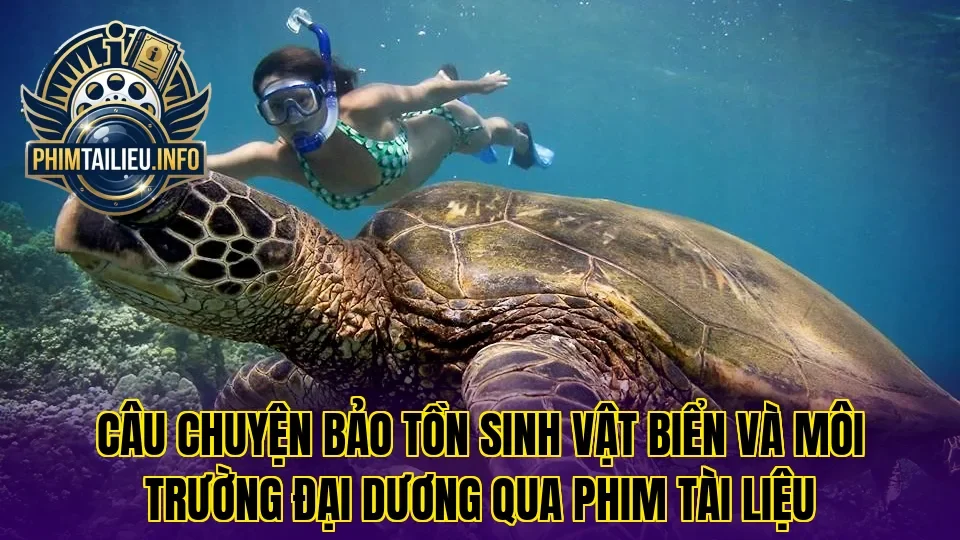 Câu chuyện bảo tồn sinh vật biển và môi trường đại dương qua phim tài liệu