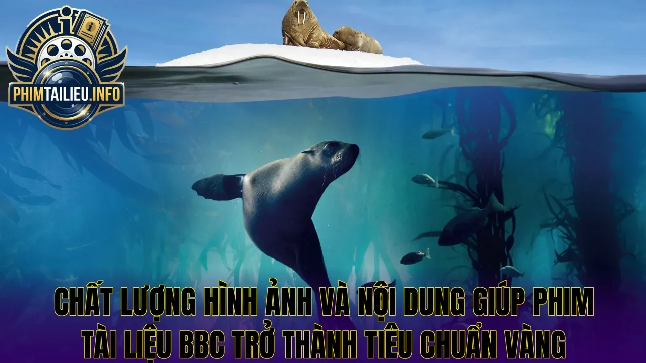 Chất lượng hình ảnh và nội dung giúp phim tài liệu BBC trở thành tiêu chuẩn vàng