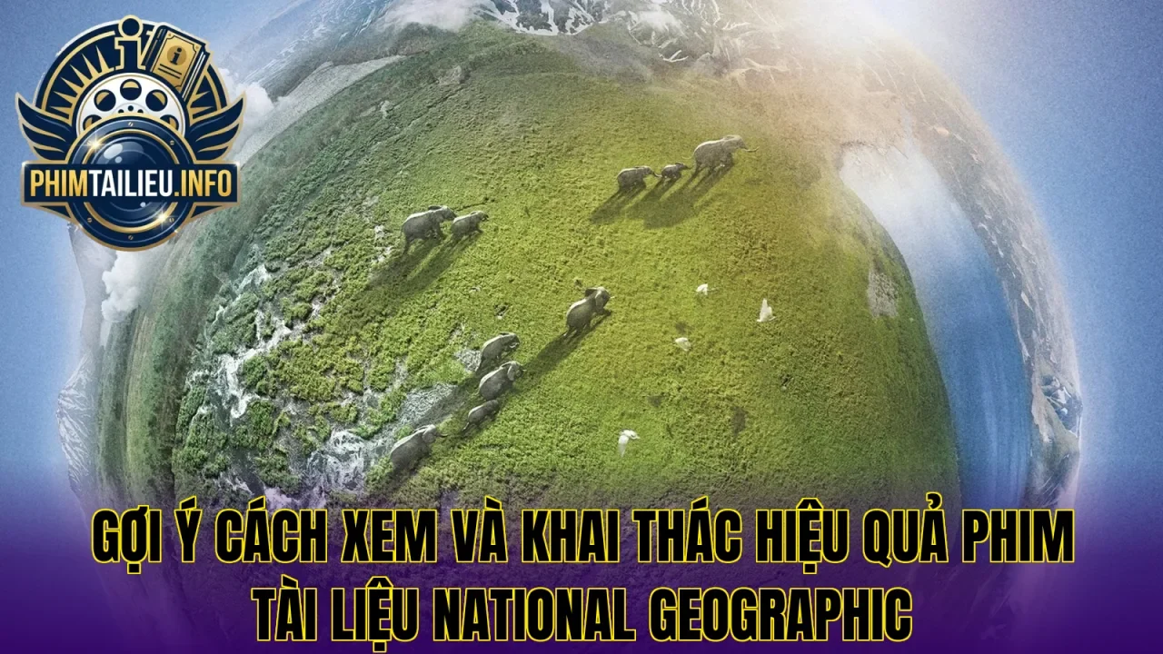Gợi ý cách xem và khai thác hiệu quả phim tài liệu National Geographic