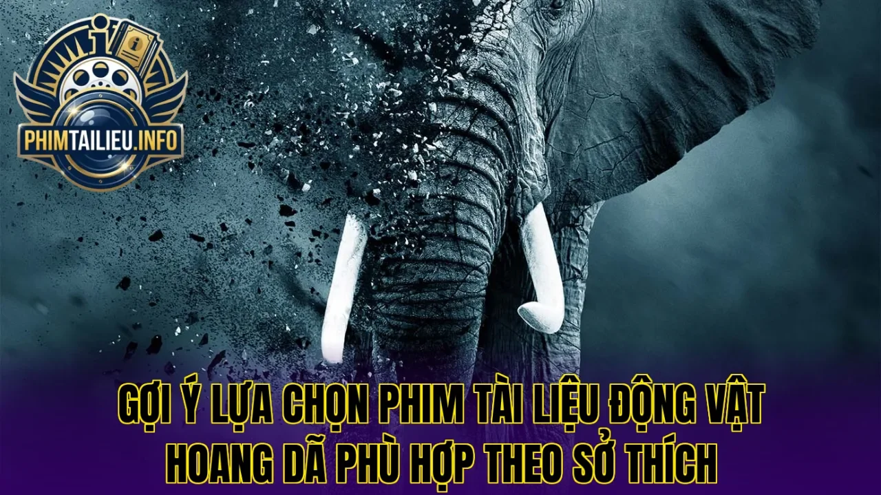 Gợi ý lựa chọn phim tài liệu động vật hoang dã phù hợp theo sở thích
