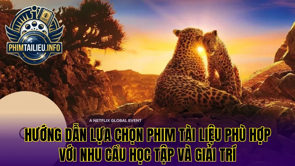 Hướng dẫn lựa chọn phim tài liệu phù hợp với nhu cầu học tập và giải trí