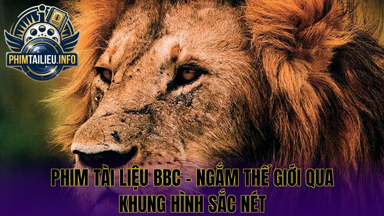 Phim tài liệu BBC – Ngắm thế giới qua khung hình sắc nét