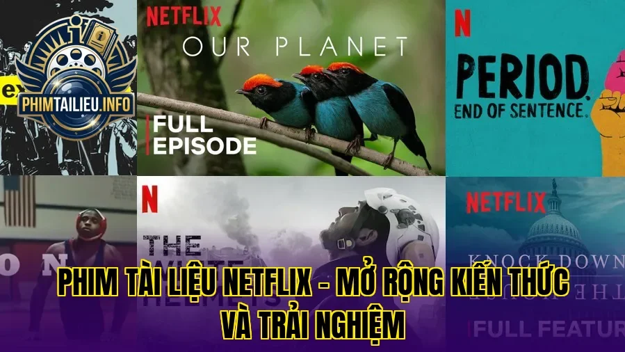 Phim tài liệu Netflix – Mở rộng kiến thức và trải nghiệm