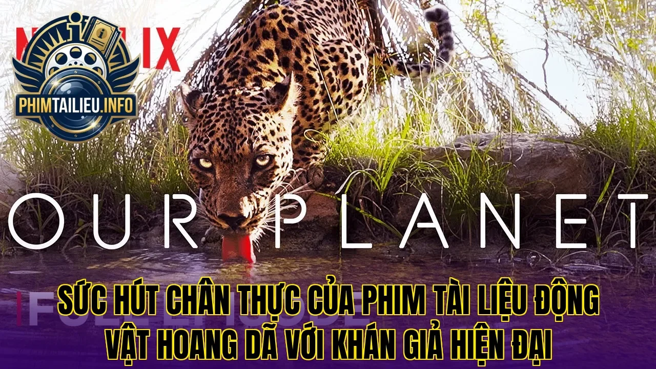 Sức hút chân thực của phim tài liệu động vật hoang dã với khán giả hiện đại