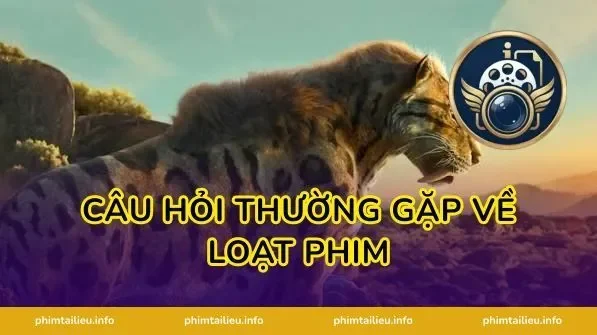 Câu hỏi thường gặp về loạt phim